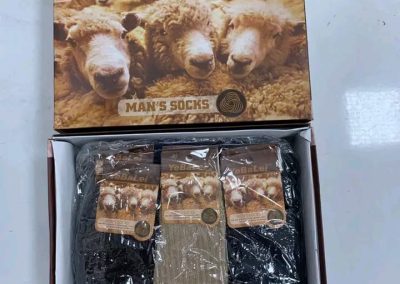 WhatsApp Image 2025-11-02 at 8.48.54 PM